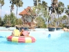 IMG_7968 (800x533)